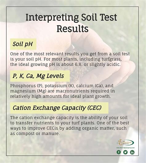 laboratory soil analysis|how to interpret soil test.